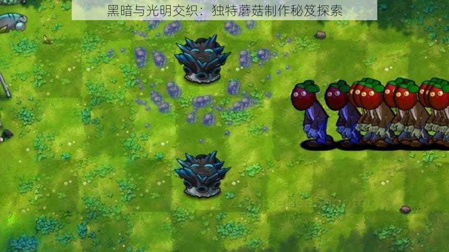 黑暗与光明交织:独特蘑菇制作秘笈探索